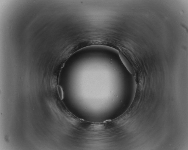 X0000096390665200801311322