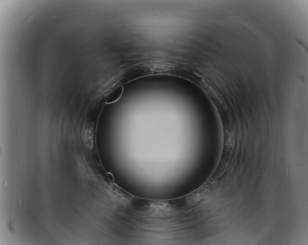 X0000096390666200801311322
