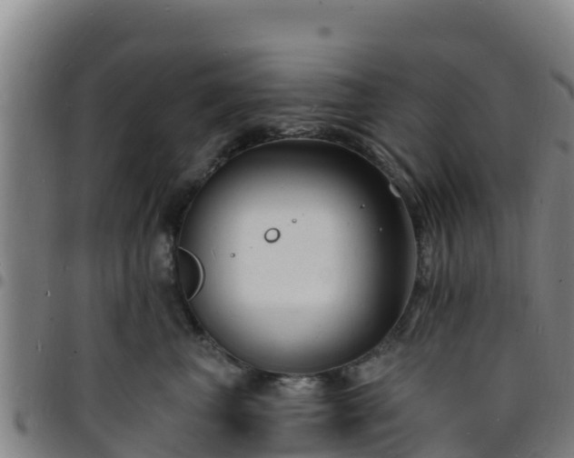 X0000096390667200801311322