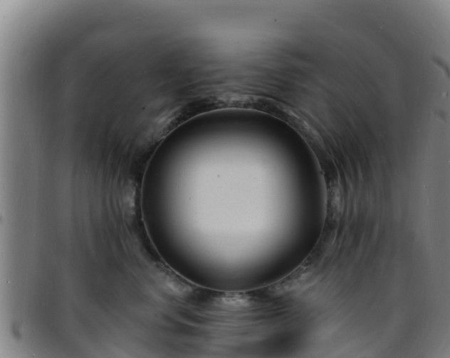 X0000096390668200801311322