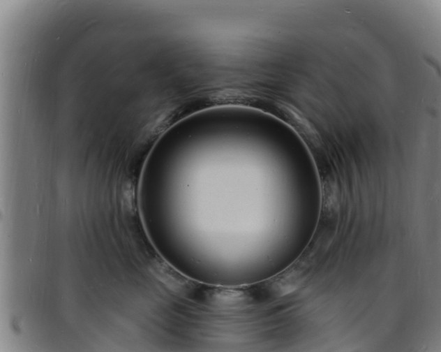 X0000096390669200801311322