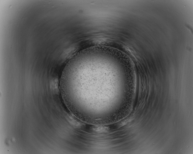 X0000096390670200801311322