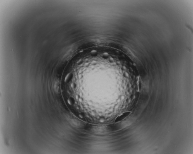 X0000096390671200801311322