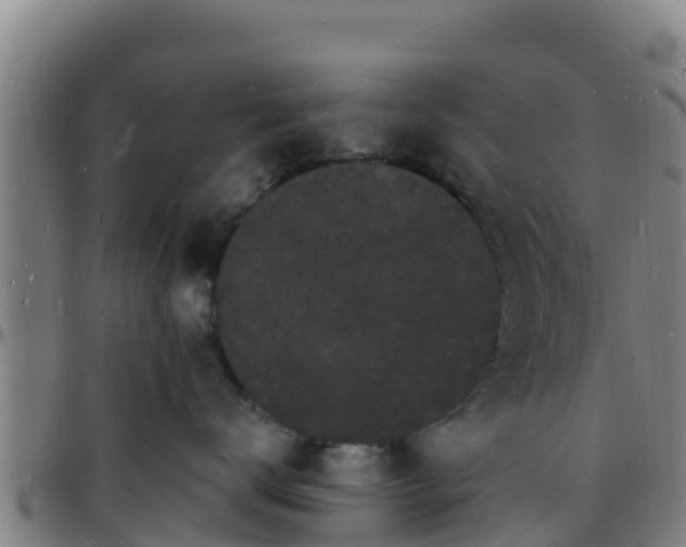 X0000096390672200801311322