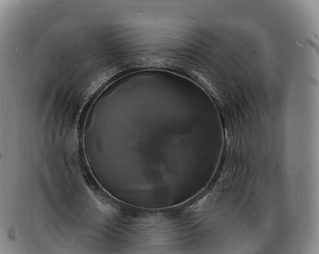 X0000096390674200801311322