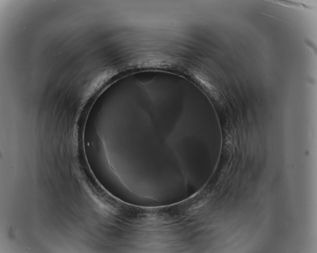 X0000096390678200801311322