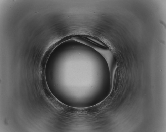 X0000096390680200801311321