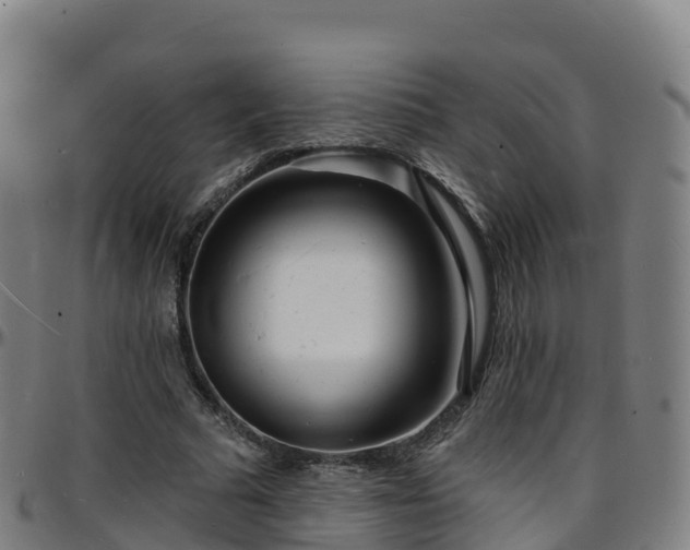 X0000096390681200801311321