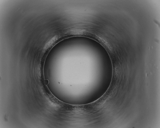 X0000096390682200801311321