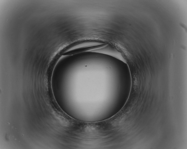 X0000096390684200801311321