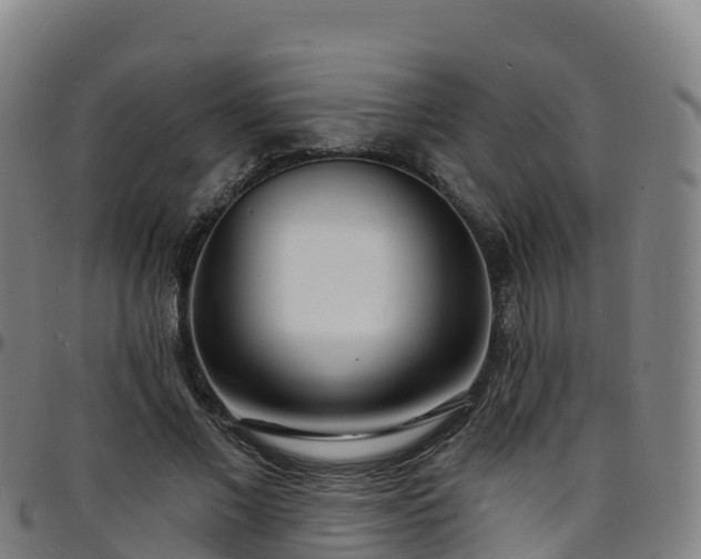 X0000096390685200801311321