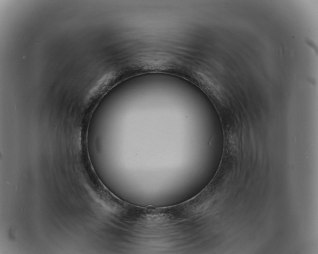 X0000096390686200801311321