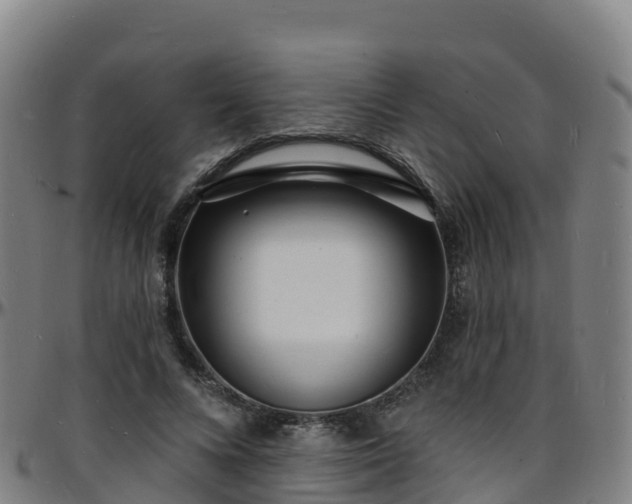 X0000096390688200801311321