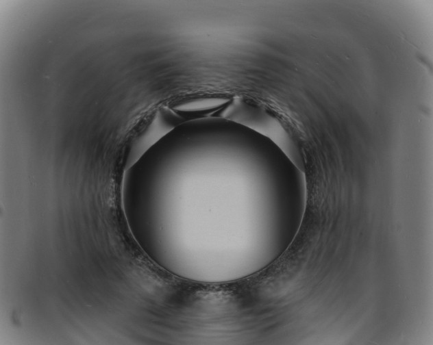 X0000096390689200801311321