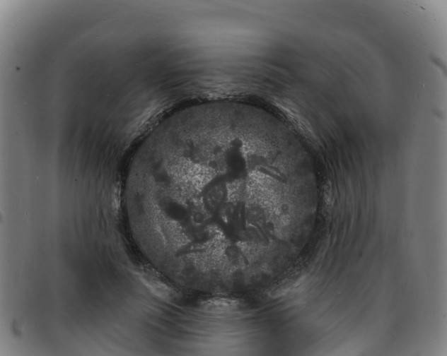 X0000096390691200801311321