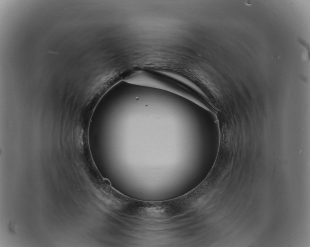 X0000096390692200801311321