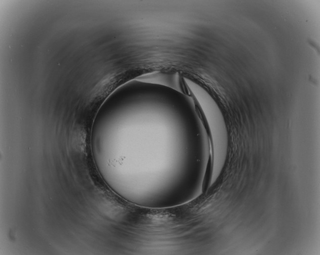 X0000096390693200801311321