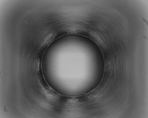 X0000096390694200801311321