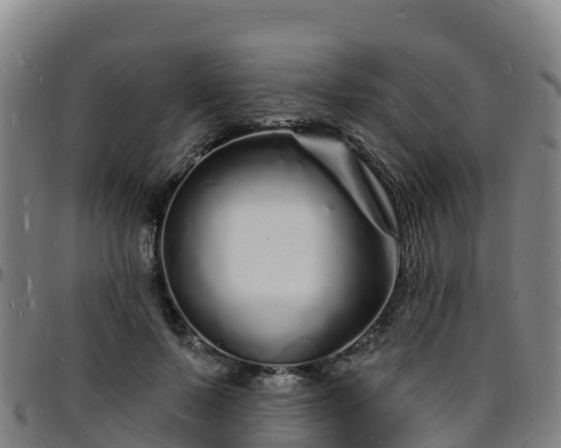 X0000096390695200801311321