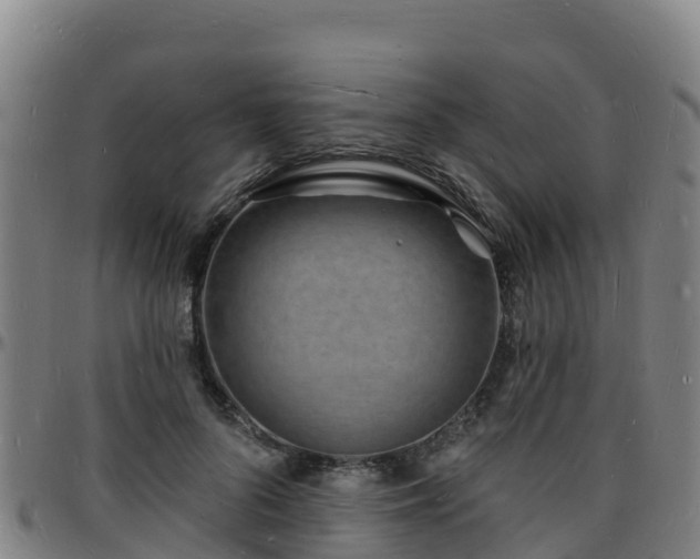 X0000096390696200801311321