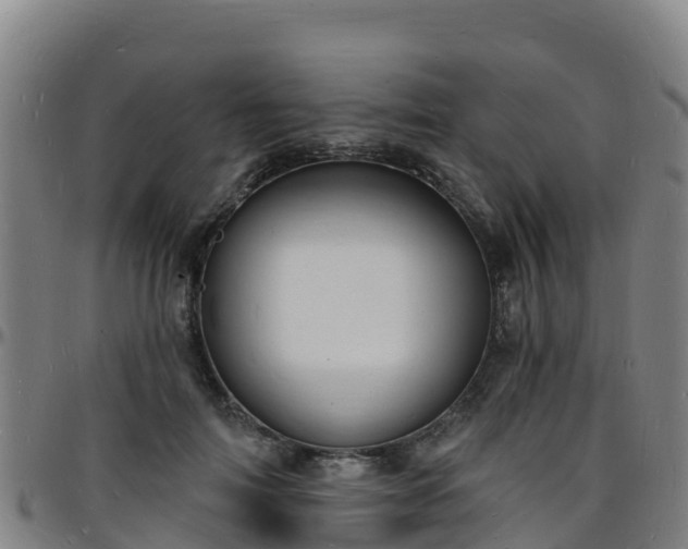 X0000096390698200801311321