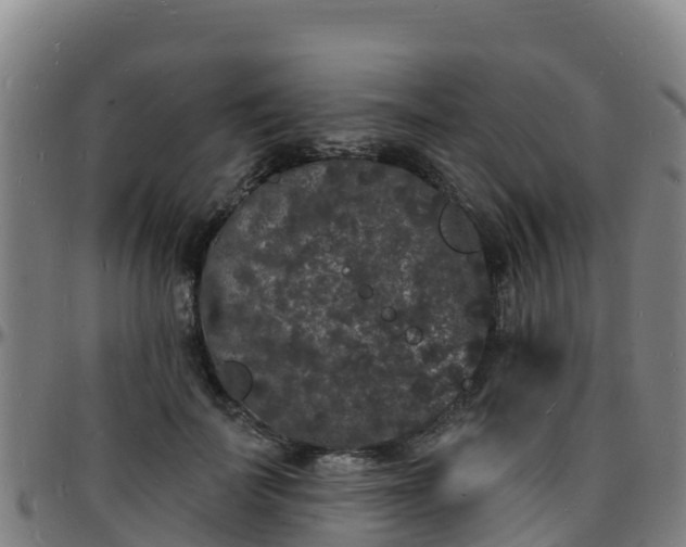 X0000096390699200801311321