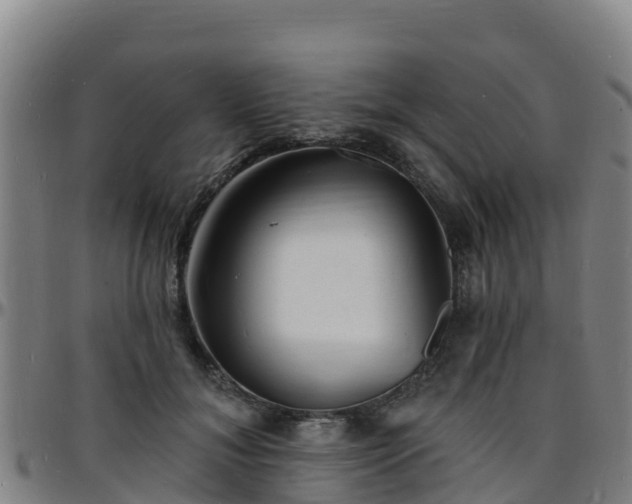 X0000096390700200801311321