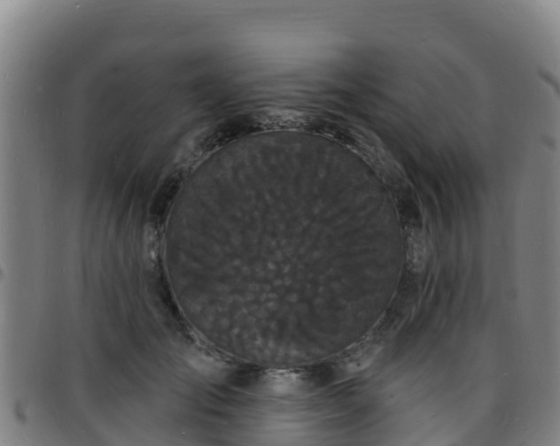 X0000096390701200801311321