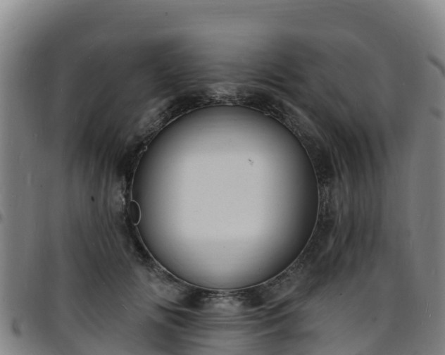 X0000096390702200801311321