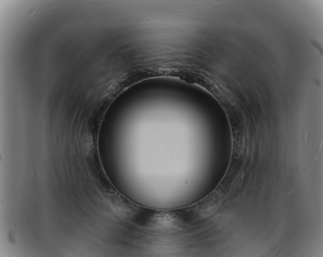 X0000096390704200801311321