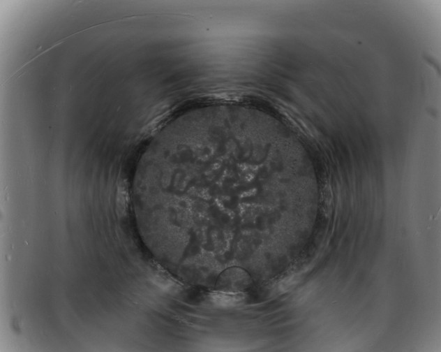 X0000096390707200801311321
