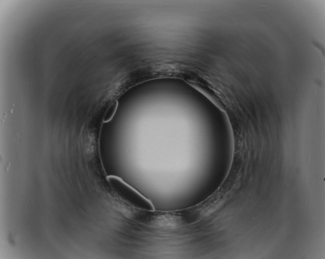 X0000096390708200801311321