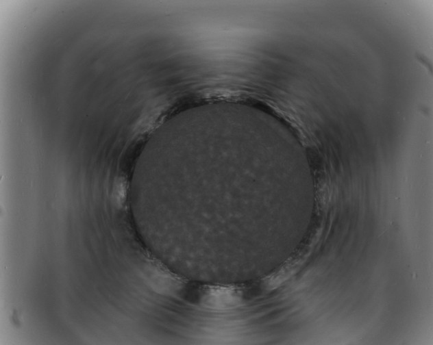 X0000096390709200801311321