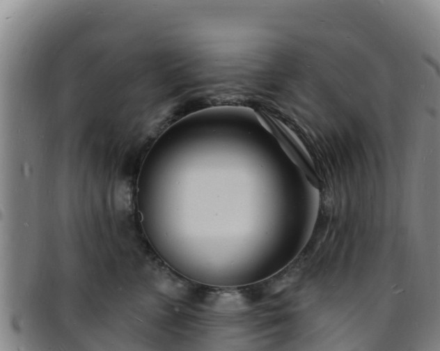 X0000096390715200801311321