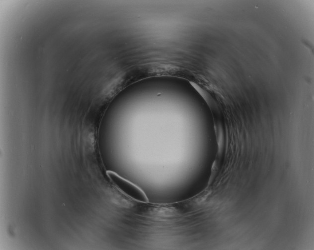 X0000096390716200801311321