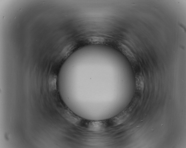 X0000096390717200801311321