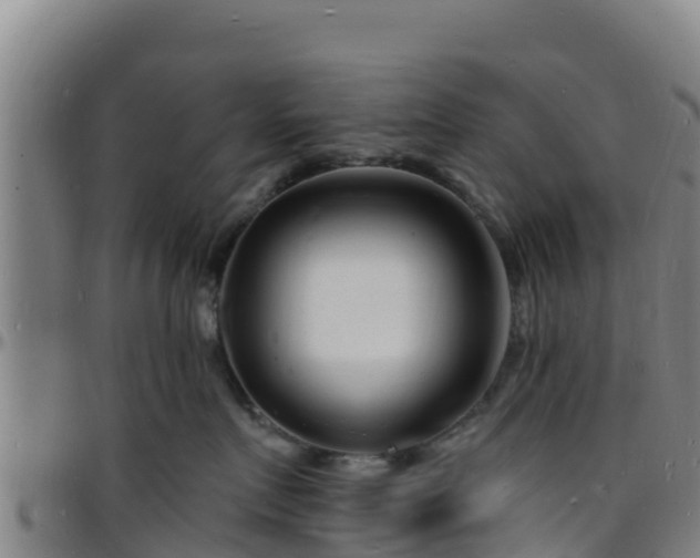 X0000096390719200801311321