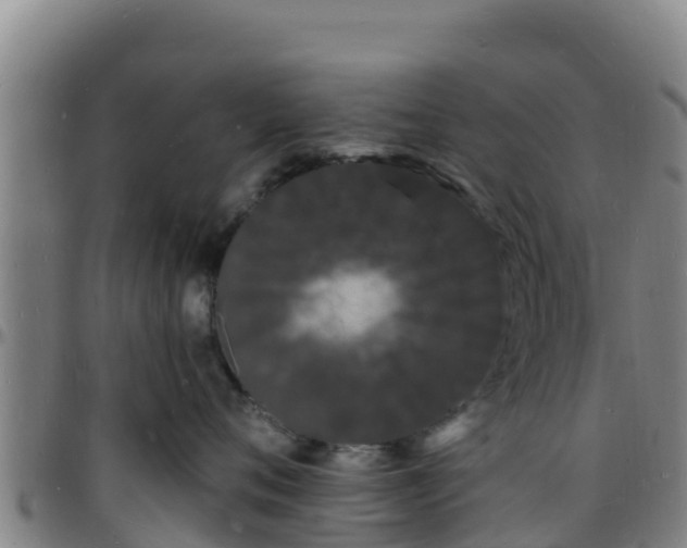 X0000096390720200801311321