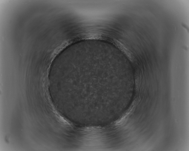 X0000096390721200801311320