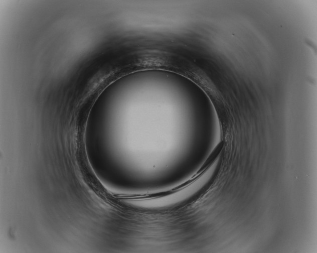 X0000096390722200801311320