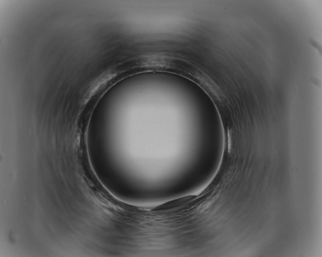 X0000096390723200801311320