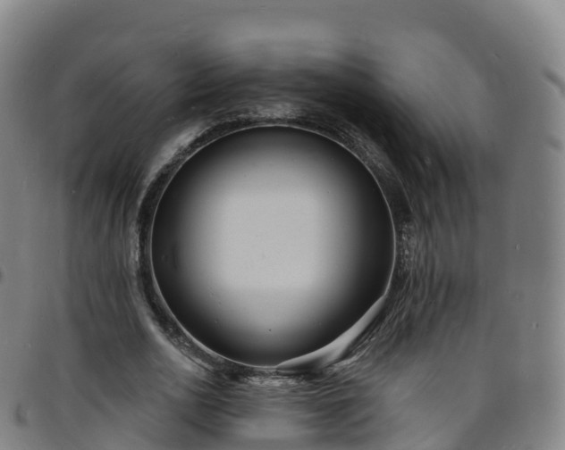X0000096390726200801311320