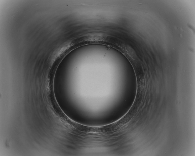 X0000096390727200801311320