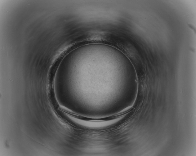 X0000096390728200801311320