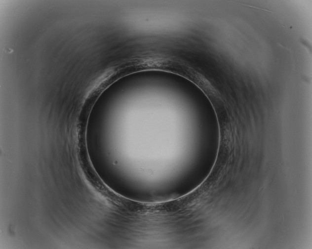 X0000096390730200801311320
