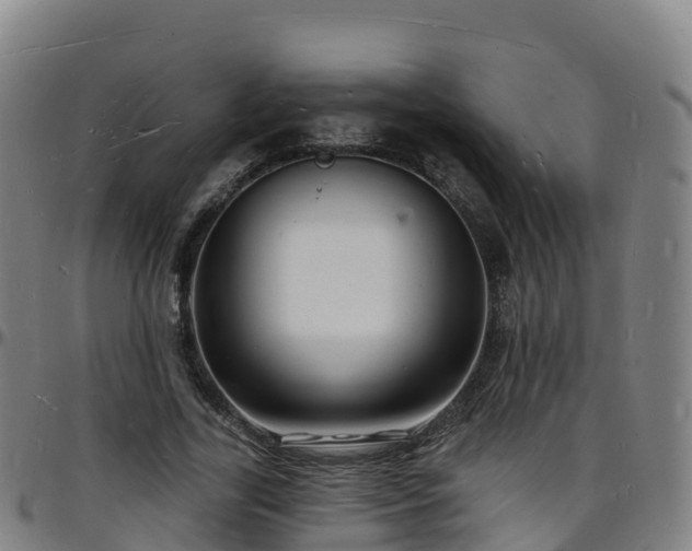 X0000096390731200801311320