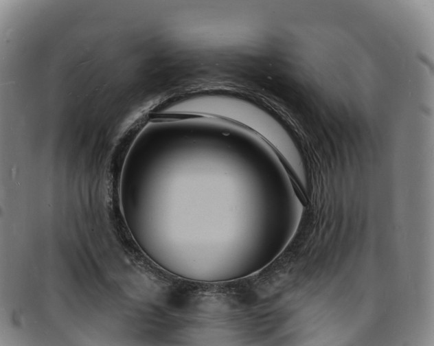 X0000096390732200801311320