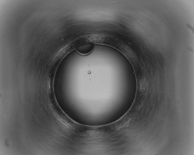 X0000096390733200801311320