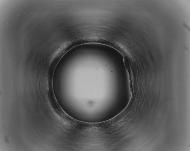 X0000096390734200801311320