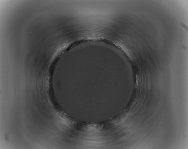 X0000096390736200801311320
